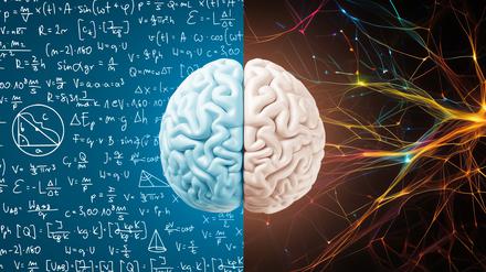 Von Neurologie über Politik bis Mathe: Berlin hat zehn Forschungscluster im Rennen um die Exzellenzmittel und erwartet mit Spannung die Entscheidung der DFG am Donnerstag. 
