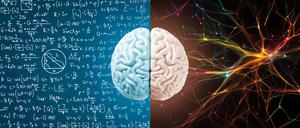 Von Neurologie über Politik bis Mathe: Berlin hat zehn Forschungscluster im Rennen um die Exzellenzmittel und erwartet mit Spannung die Entscheidung der DFG am Donnerstag. 