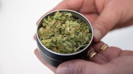 Cannabis-Abgabe gestartet: In Oranienburg können Mitglieder eines Cannabisvereins erstmals legal Gras erhalten. 