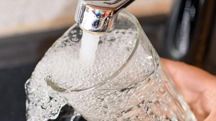 Am Wasserhahn in einer Küche wird ein Trinkglas mit Leitungswasser befüllt. 