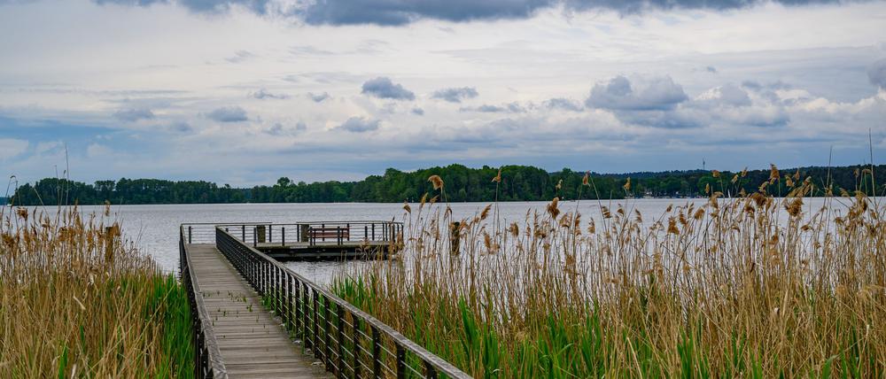 Regen und Wolken sowie steigende Temperaturen dominieren die Hauptstadtregion in den nächsten Tagen. (Archivbild)