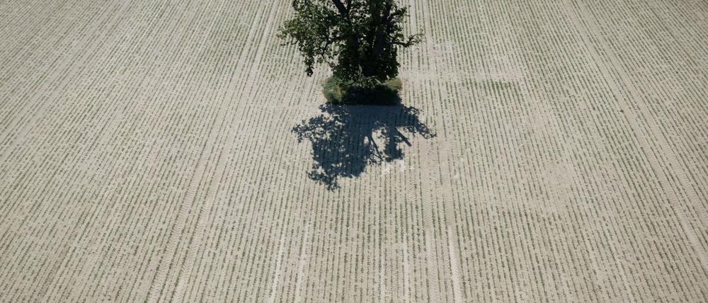 Weite Teile Europas leiden seit Jahren unter zunehmender Wasserknappheit. (Archivbild)