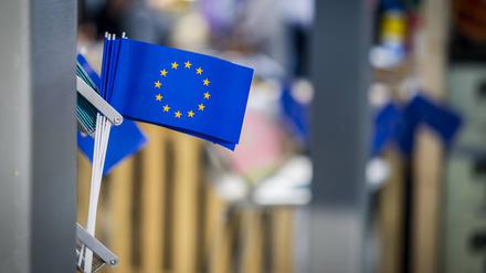 Die Europaflagge ist bei den Euroskeptikern nicht gern gesehen.