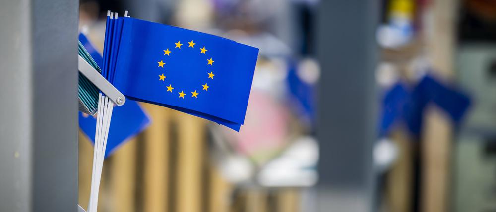 Die Europaflagge ist bei den Euroskeptikern nicht gern gesehen.