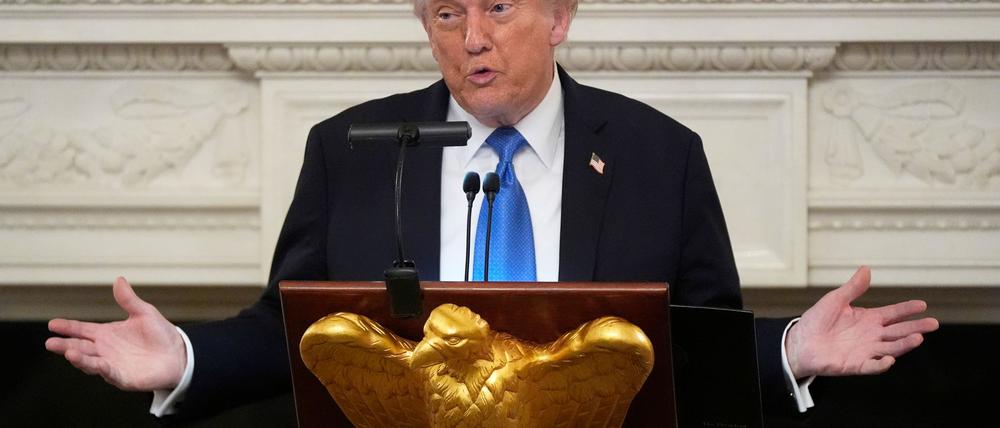 US-Präsident Donald Trump wird dafür kritisiert, nicht genügend Druck auf Kremlchef Putin auszuüben. 