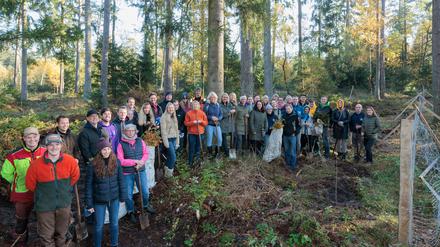 HARMELINGEN, 24.10.2024, Mondelez Volunteering in der Lüneburger Heide, Artenglück Baumpflanzaktion in Zusammenarbeit mit VNP Stiftung Naturschutzpark Lüneburger Heide © Joerg Sarbach