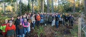 HARMELINGEN, 24.10.2024, Mondelez Volunteering in der Lüneburger Heide, Artenglück Baumpflanzaktion in Zusammenarbeit mit VNP Stiftung Naturschutzpark Lüneburger Heide © Joerg Sarbach