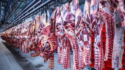 Nach Jahren rückläufiger Schlachtungen ist die Zahl der Schweineschlachtungen im vergangenen Jahr wieder leicht gestiegen. (Archivfoto) 