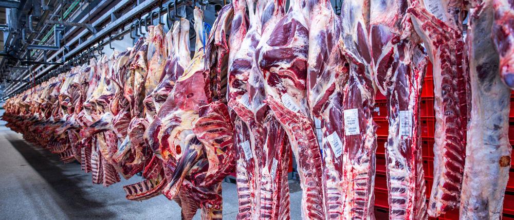 Nach Jahren rückläufiger Schlachtungen ist die Zahl der Schweineschlachtungen im vergangenen Jahr wieder leicht gestiegen. (Archivfoto)