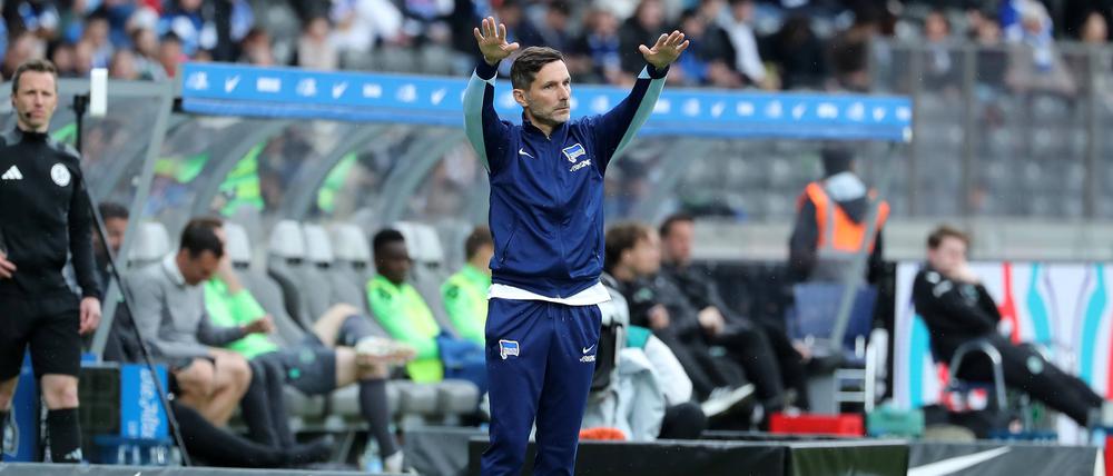 Stefan Leitl ist seit Februar Trainer bei Hertha BSC. Er hat die Mannschaft vor dem Abstieg in die Dritte Liga gerettet.