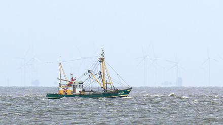 Krabbenfischer verlieren vor Gericht (Foto-aktuell).