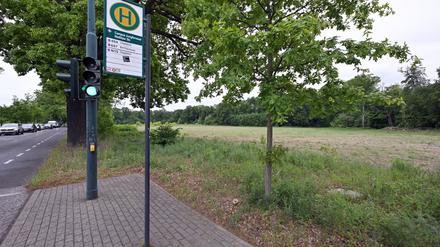 Auf dieser Brache an der Nedlitzer Straße sollte das Flüchtlingsdorf errichtet werden. 