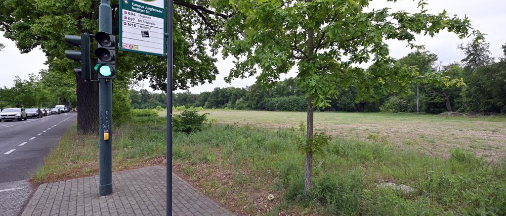 Auf dieser Brache an der Nedlitzer Straße sollte das Flüchtlingsdorf errichtet werden. 