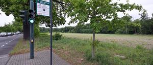 Auf dieser Brache an der Nedlitzer Straße sollte das Flüchtlingsdorf errichtet werden. 