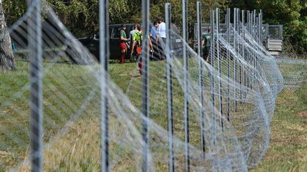 In Brandenburg werden Restriktionen wieder gelockert. (Archivbild)