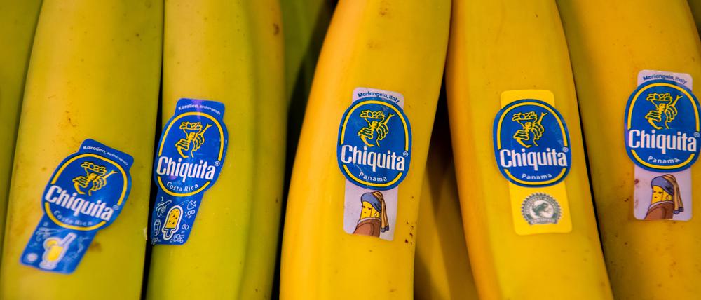 Bananen von Chiquita liegen in einem Supermarktregal.