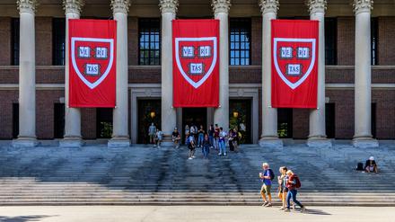 Studierende stehen vor dem Harry Elkins Widener Memorial Library der Harvard University. Seit Wochen stemmt sich die Universität gegen den Druck der Trump-Regierung. 