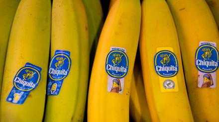 Bananen von Chiquita liegen in einem Supermarktregal in Bayern. (Archivbild) 