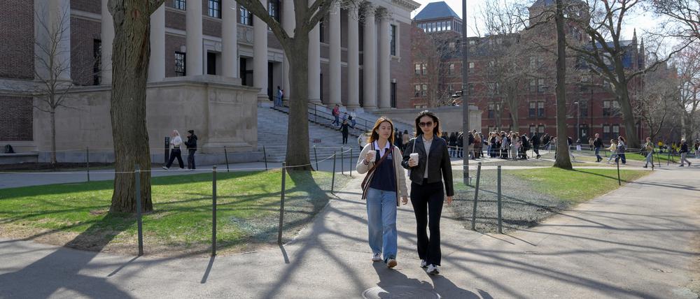 Menschen an der Harvard Universität.