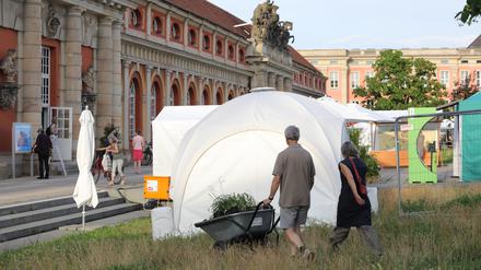 Das Green Visions Festival setzt wie viele andere Potsdamer Kulturakteure die Klimakrise auf die Agenda.