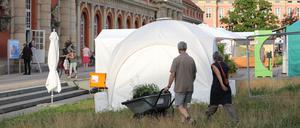 Das Green Visions Festival setzt wie viele andere Potsdamer Kulturakteure die Klimakrise auf die Agenda.