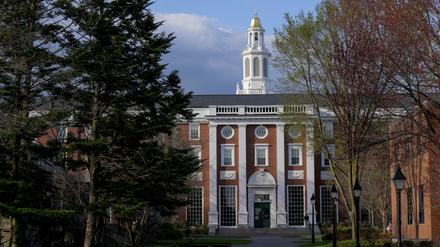 Harvard.