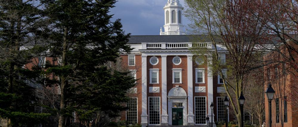 Harvard.