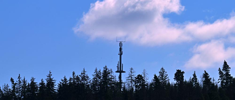 Hier gibt es Handynetz - anderswo fehlen hingegen noch Mobilfunkmasten im Wald, an Wiesen oder an Bauernhöfen. (Symbolbild)