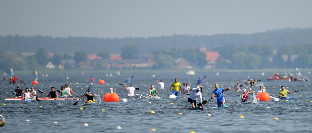 Kanuten trainieren auf dem Beetzsee in Brandenburg an der Havel (Brandenburg).
