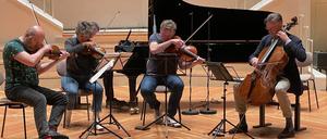 Boris Brovtsyn, Svetlana Makarova an den Geigen, Gareth Lubbes an der Bratsche und Jens Peter Maintz am Cello bei der Probe.
