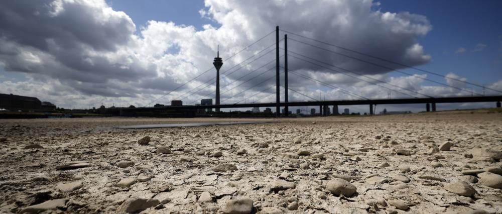 Der Rhein bei Düsseldorf bei Niedrigwasser.