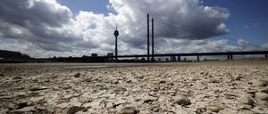 Der Rhein bei Düsseldorf bei Niedrigwasser.