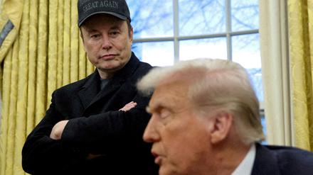 Musk im Oval Office