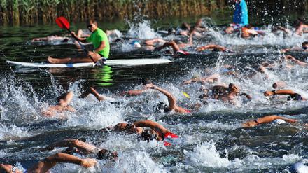 Der Berliner Volkstriathlon findet am 20. Juli 2025 zum 36. Mal an Krummer Lanke und Havel statt. Ausrichter ist der Zehlendorfer Verein "Die Weltraumjogger". Dieses Mal gab es bei der Genehmigung viel hin und her.