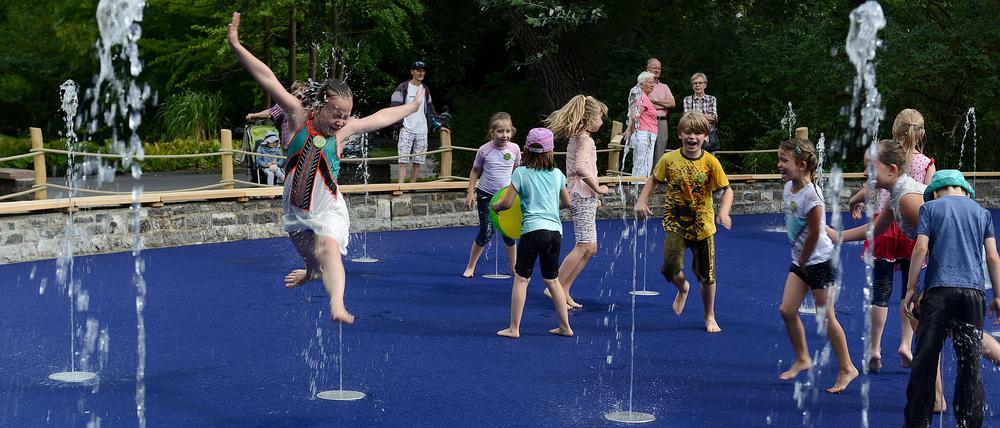 Tierpark. Der modernisierte Wasserspielplatz und ein Fabelwald werden eröffnet.