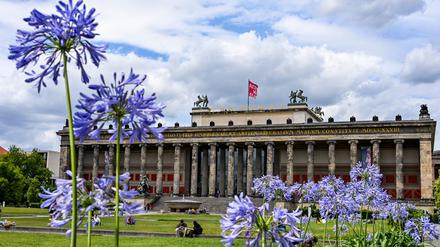 Das Alte Museum gehört zur Museumsinsel. (Archivbild)