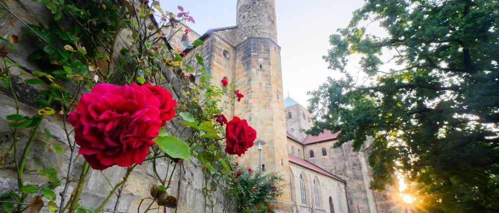Die St. Michaeliskirche gehört zum Unesco-Weltkulturerbe in Hildesheim. (Archivbild)