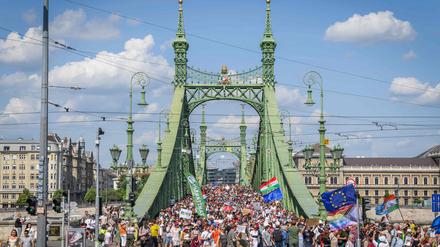Demonstration in Budapest.