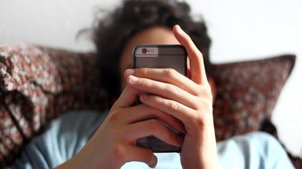 Nur ein Viertel der Internet-Nutzer in Deutschland traut sich zu, Falschinformationen im Netz zu erkennen. 