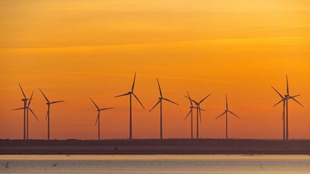 Windräder sind in Brandenburg kein seltener Anblick - auch in Berlin werden neue Standorte gesucht. (Archivbild)