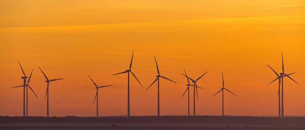 Windräder sind in Brandenburg kein seltener Anblick - auch in Berlin werden neue Standorte gesucht. (Archivbild)