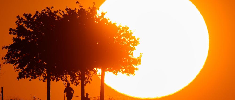 Hitze in Deutschland: Tage mit extremer Belastung werden häufiger.