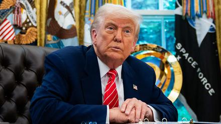 US-Präsident Donald Trump spricht während einer Pressekonferenz mit Elon Musk im Oval Office des Weißen Hauses in Washington, DC.