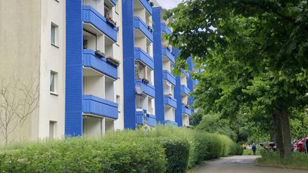 Königsblaue Wohnhäuserfassade in der Oelsnitzer Straße in Berlin-Hellersdorf.