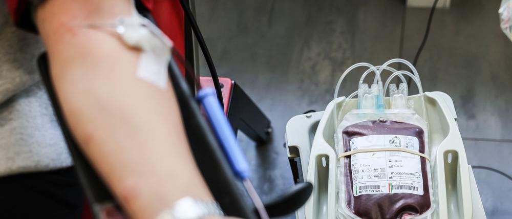 Eine Person spendet Blut im DRK-Blutspendezentrum.