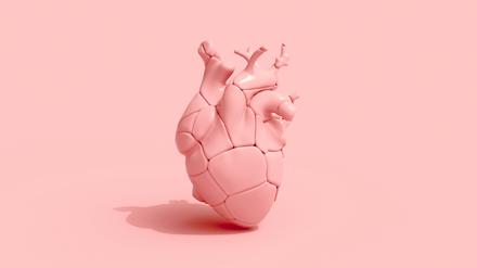Ein Herzmodell vor einem rosa Hintergrund.