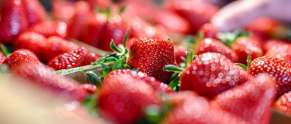Jetzt gibt es Erdbeeren so günstig wie nie in der Saison. (Archivbild)