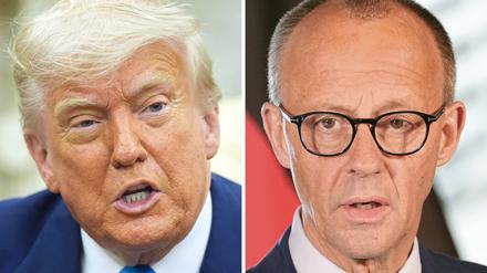 US-Präsident Donald Trump und Bundeskanzler Friedrich Merz.