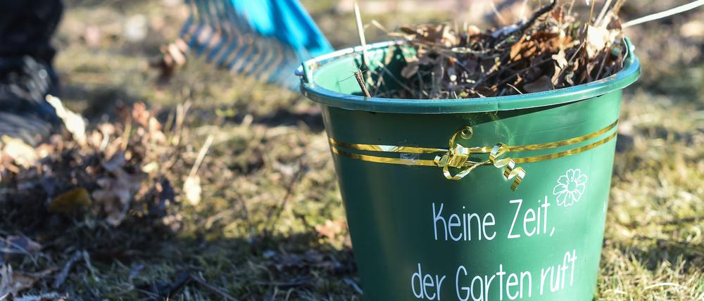 In Berlin wird der Tag des Gartens am Samstag gefeiert.