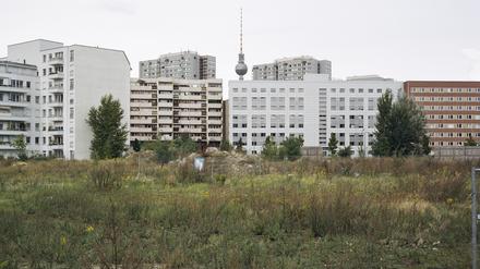 Eines der Bilder aus Thomas Meyers Serie „Mauer Land, 1998-2001“.